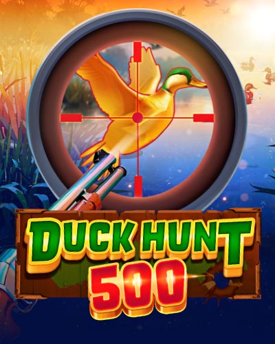 Duck Hunt 500