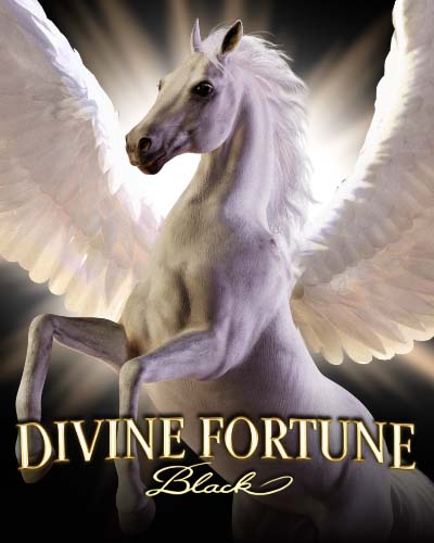 Divine Fortune Black