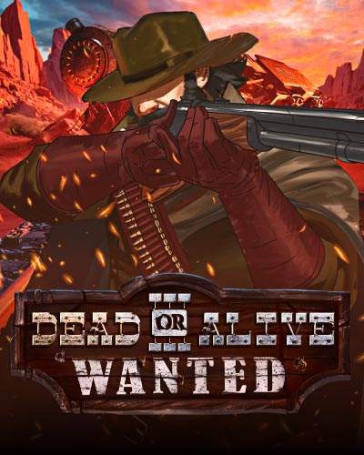 Dead or Alive 3: Wanted
